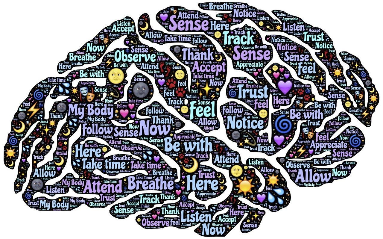 Are You Supporting Your Brain Health? Brain, Health