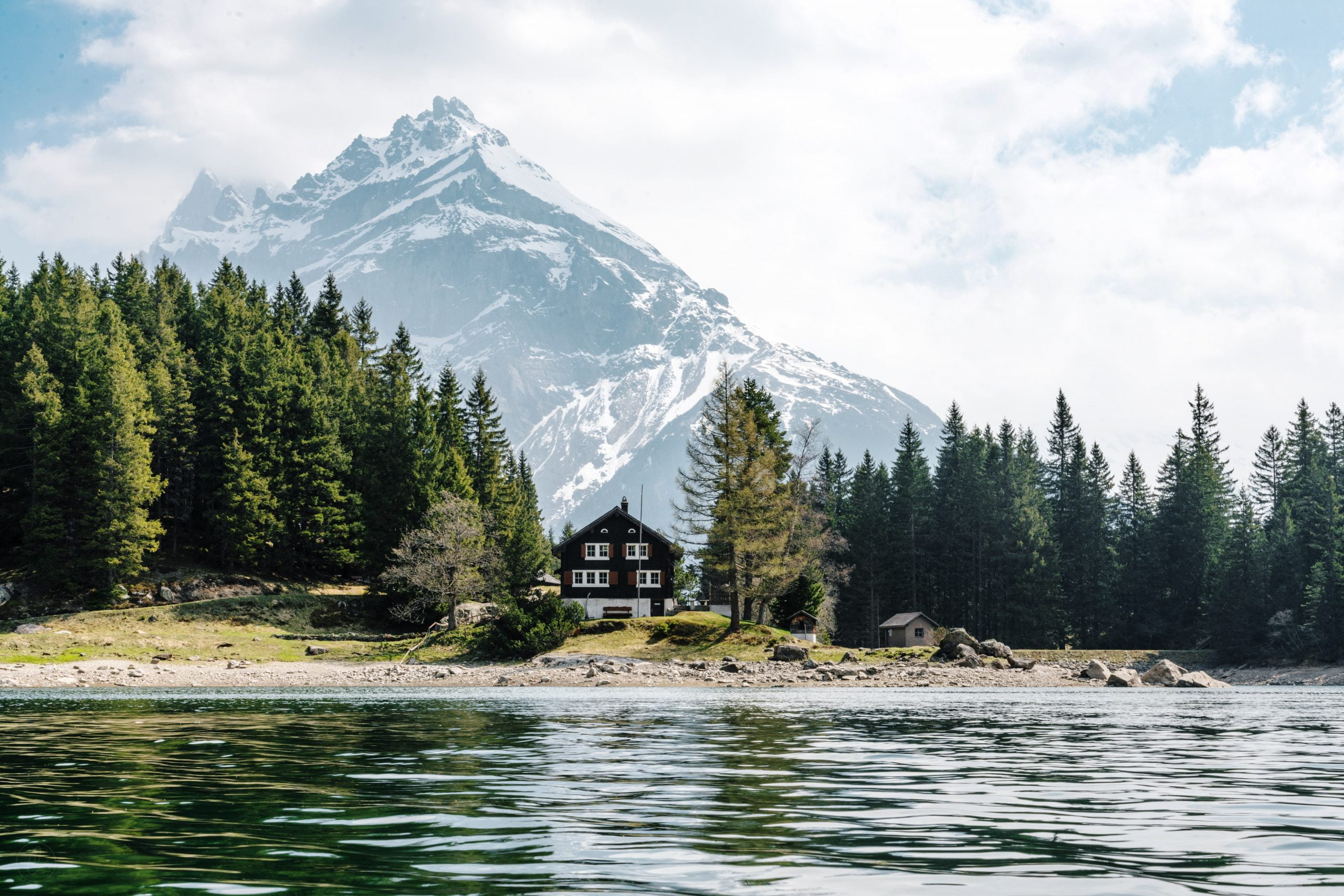 Best schools in Switzerland black painted house in the middle of the trees
