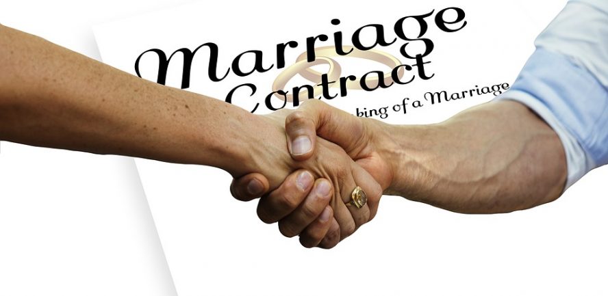 Prenup, Before, Handshake, Contract, Compatible