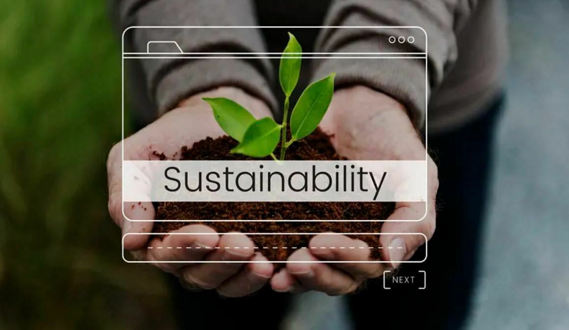 Simple Tips for a More Sustainable Lifestyle sustain