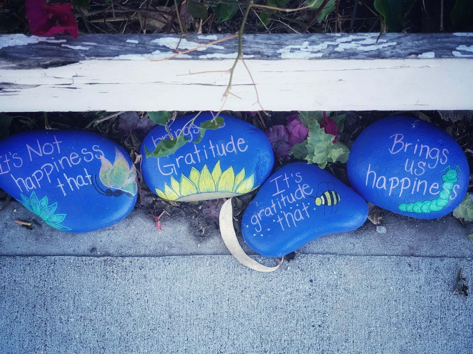 4 Simple Ways to Practice Gratitude In Your Life Photo by Donald Giannatti