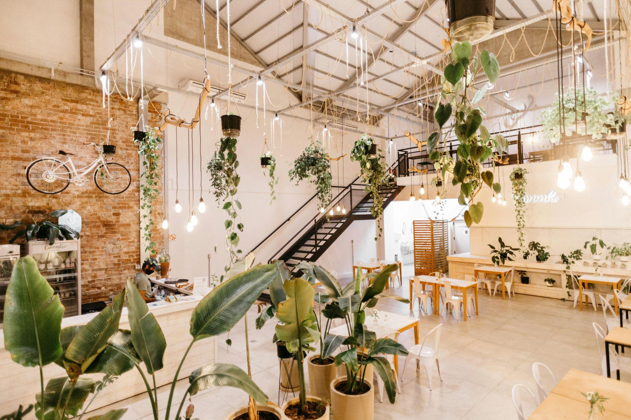 Lighting the Way: Innovative Ideas for Restaurant Interiors word-image-11914-1